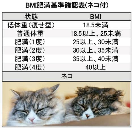 身長171cmの理想的な目標体重を考察 Bmi 芸能人の体重 ちぇっく梅いと 身長171cmの理想的な目標体重を考察 Bmi 芸能人の体重 ちぇっく梅いと