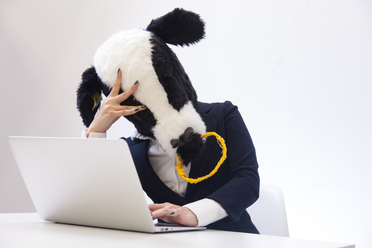 f:id:umeko5:20200225164423j:plain