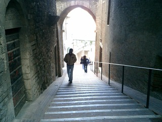 CIMG0540.JPG