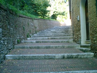 CIMG0919.JPG