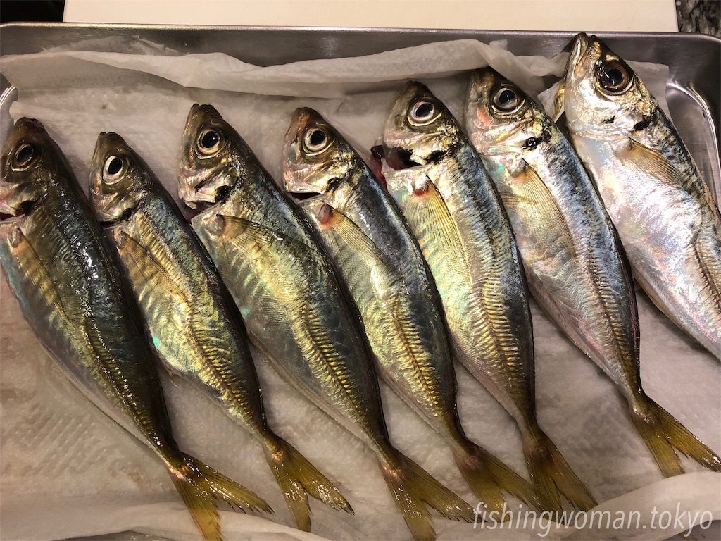 f:id:umekoblog:20181104210335j:image f:id:umekoblog:20181104210335j:image