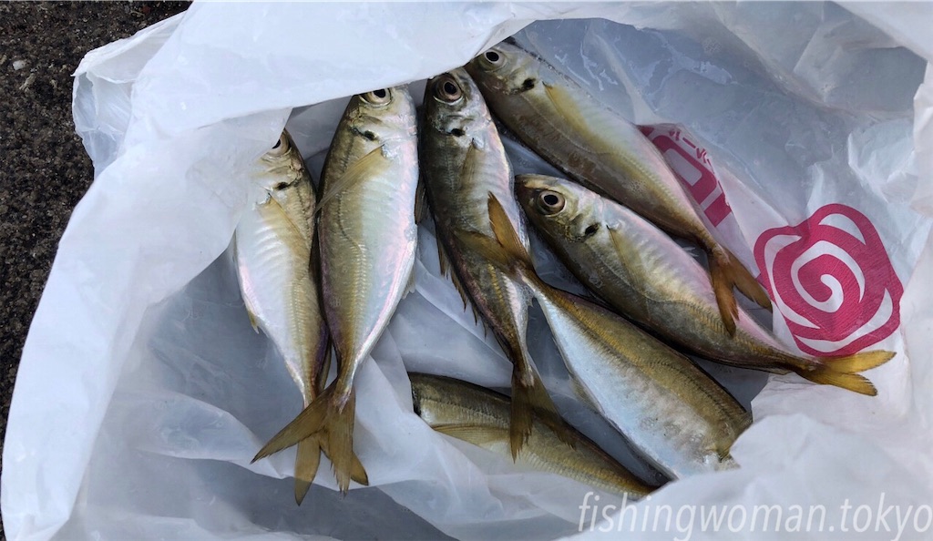 f:id:umekoblog:20181114223841j:image f:id:umekoblog:20181114223841j:image