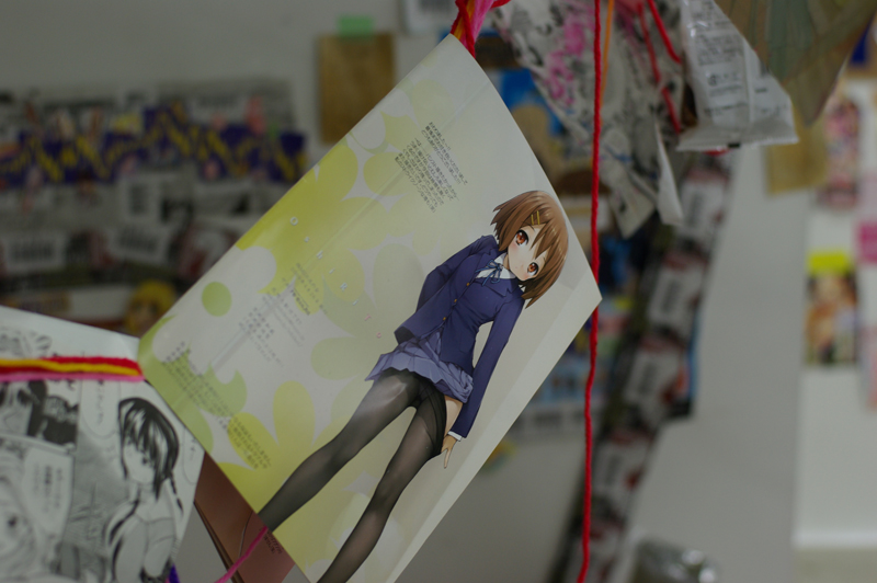 f:id:umelabo:20101112030641j:image