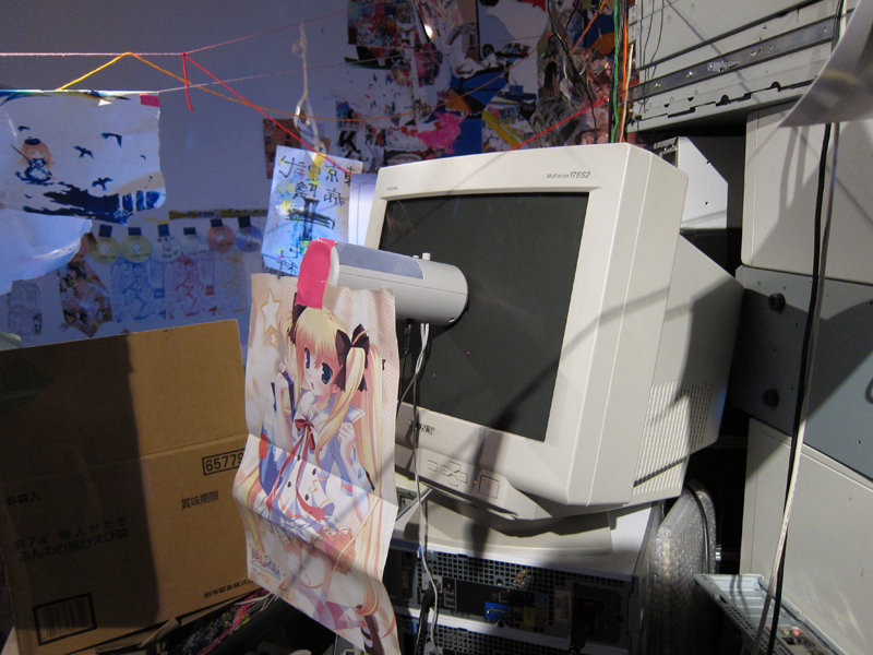 f:id:umelabo:20101112030746j:image