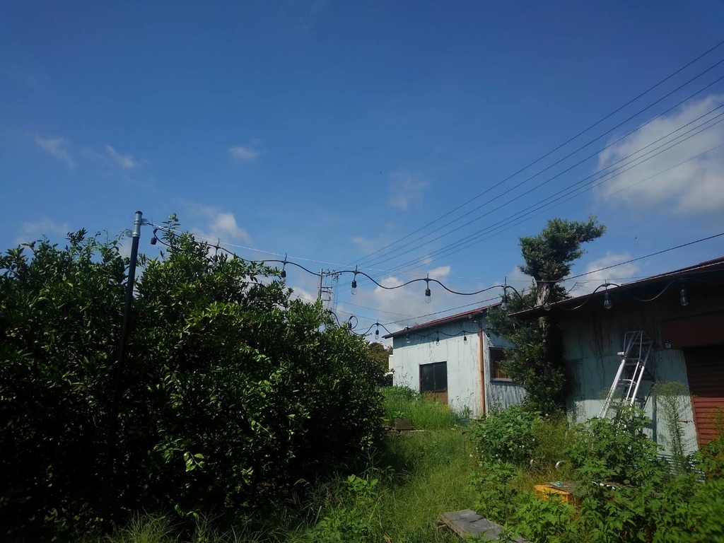 f:id:umemaruinc:20180831014102j:plain f:id:umemaruinc:20180831014102j:plain