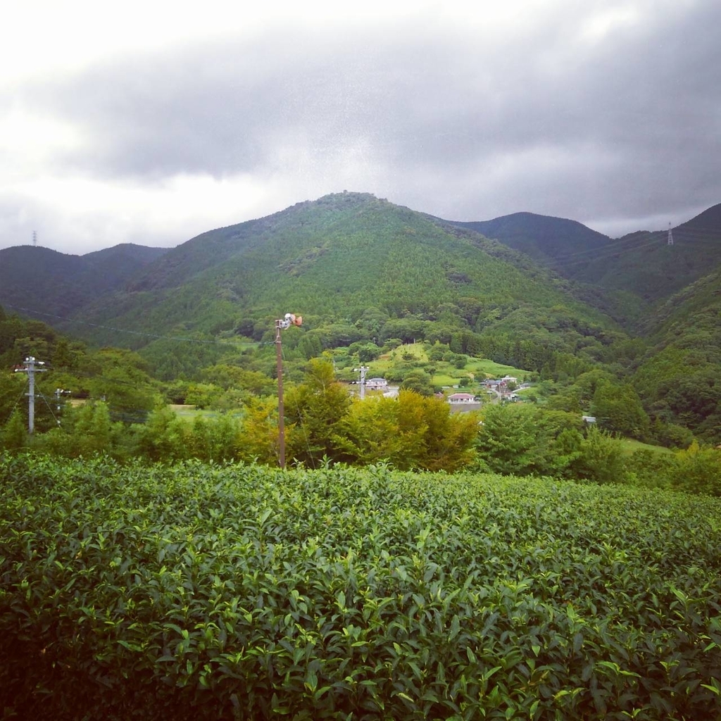 f:id:umemaruinc:20180831014421j:plain f:id:umemaruinc:20180831014421j:plain