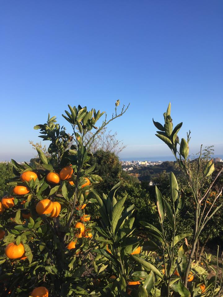 f:id:umemaruinc:20180929171604j:plain f:id:umemaruinc:20180929171604j:plain