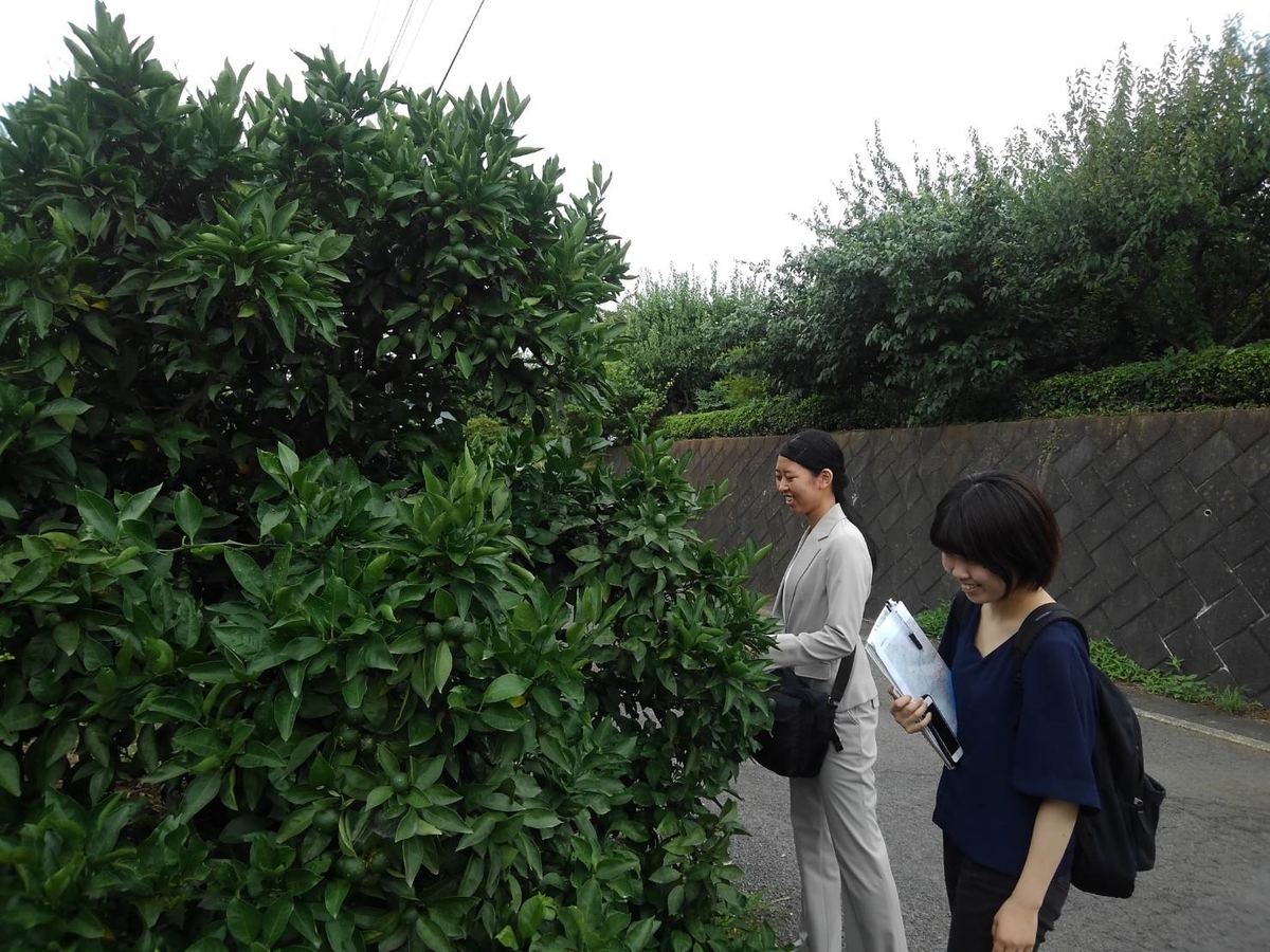f:id:umemaruinc:20190728172539j:plain f:id:umemaruinc:20190728172539j:plain