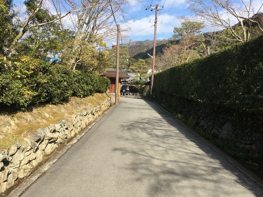f:id:umematsutake:20190208232433j:plain