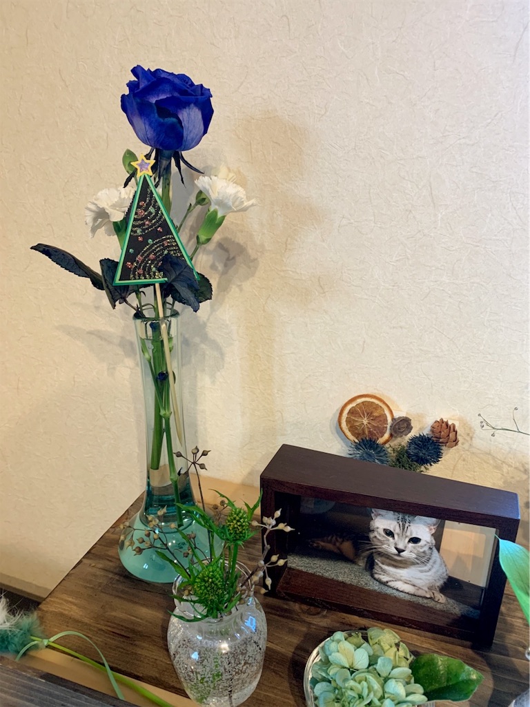 f:id:umememeko:20191203155010j:image f:id:umememeko:20191203155010j:image