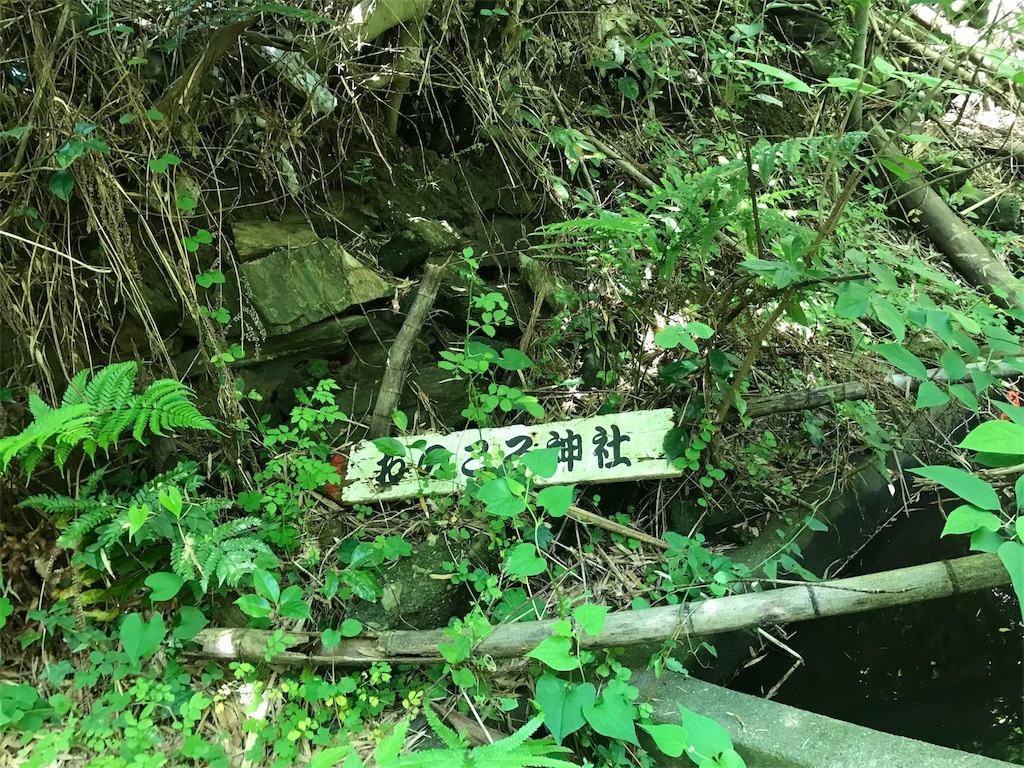 f:id:umemomotan:20180605063457j:image