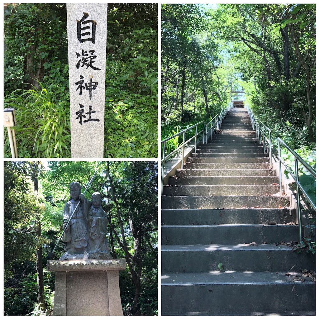 f:id:umemomotan:20180605063548j:image