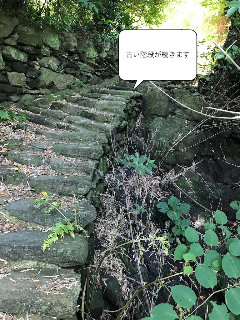 f:id:umemomotan:20180605081927j:image