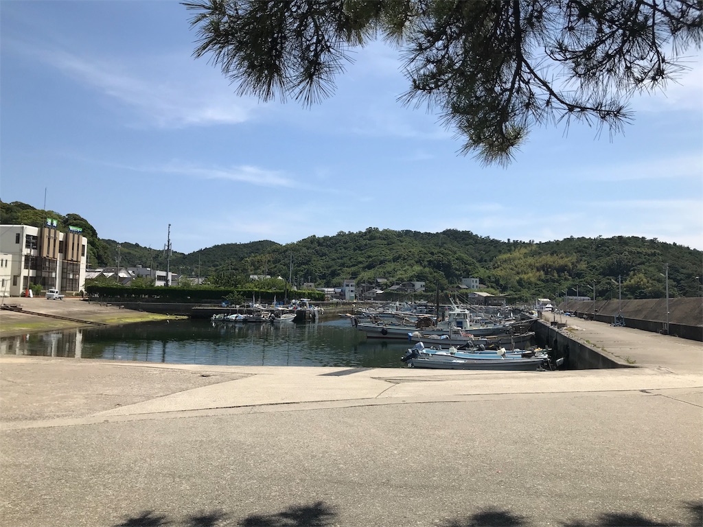 f:id:umemomotan:20180605225618j:image