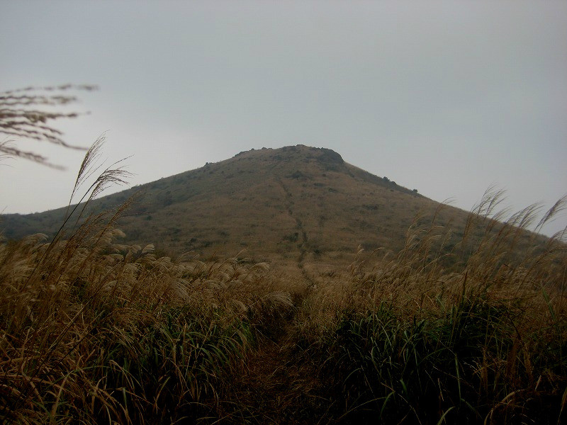 f:id:umenan:20111116133016j:image f:id:umenan:20111116133016j:image