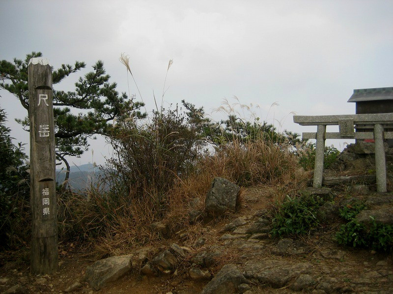 f:id:umenan:20111116133022j:image f:id:umenan:20111116133022j:image