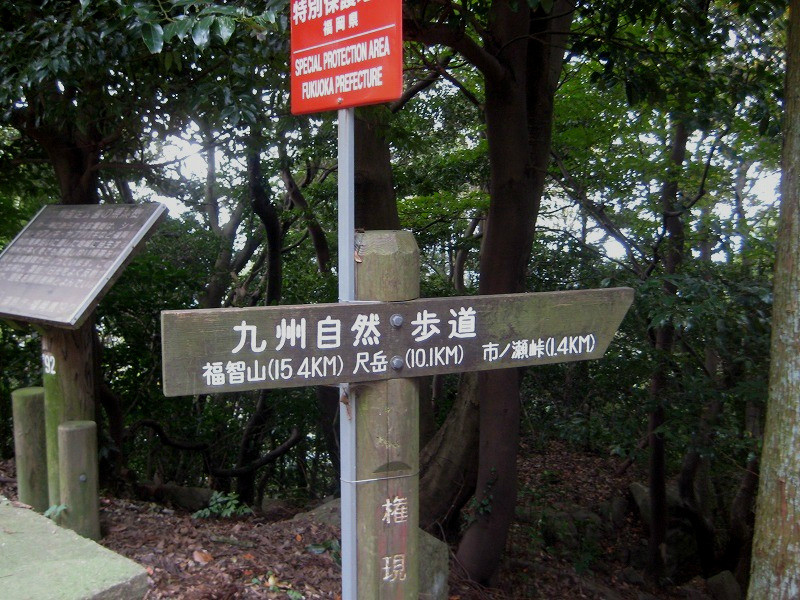 f:id:umenan:20111116133024j:image f:id:umenan:20111116133024j:image
