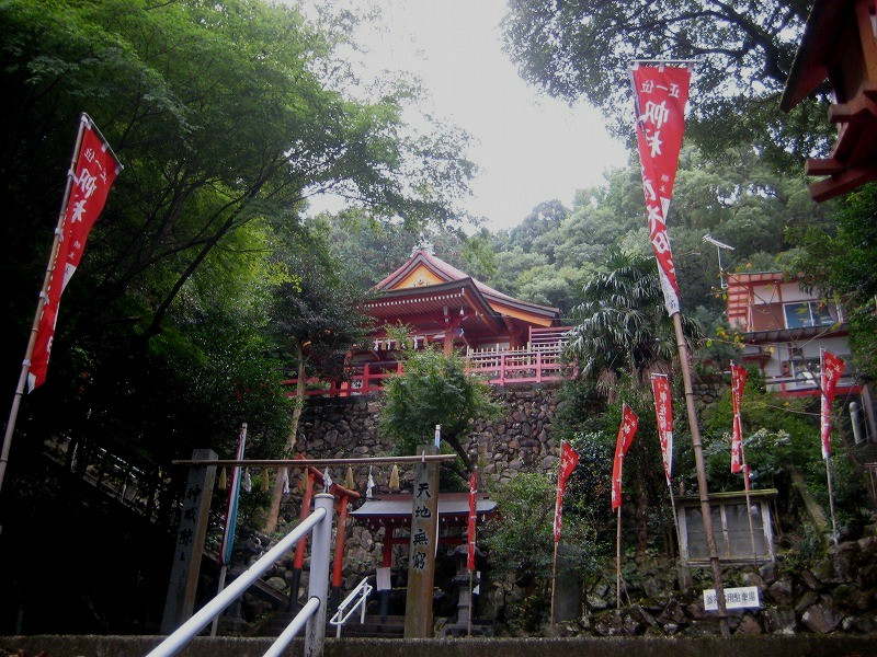 f:id:umenan:20111116133026j:image f:id:umenan:20111116133026j:image