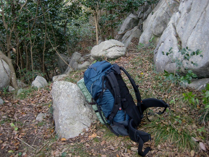 f:id:umenan:20111116133154j:image f:id:umenan:20111116133154j:image