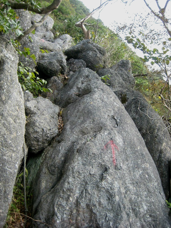 f:id:umenan:20111116133155j:image f:id:umenan:20111116133155j:image