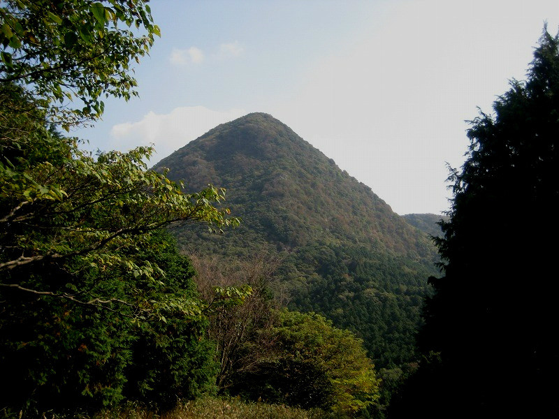 f:id:umenan:20111116133156j:image f:id:umenan:20111116133156j:image
