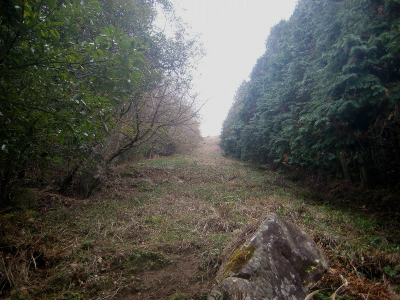 f:id:umenan:20111116151410j:image f:id:umenan:20111116151410j:image
