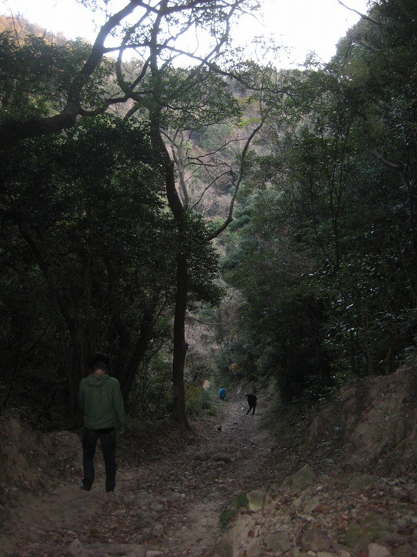 f:id:umenan:20120106121605j:image f:id:umenan:20120106121605j:image