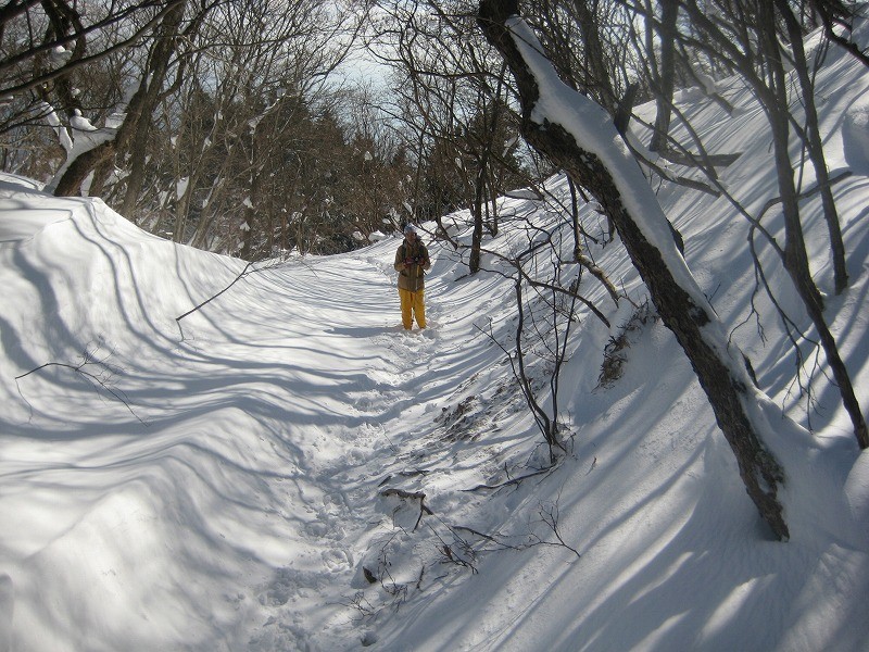 f:id:umenan:20120107095851j:image f:id:umenan:20120107095851j:image