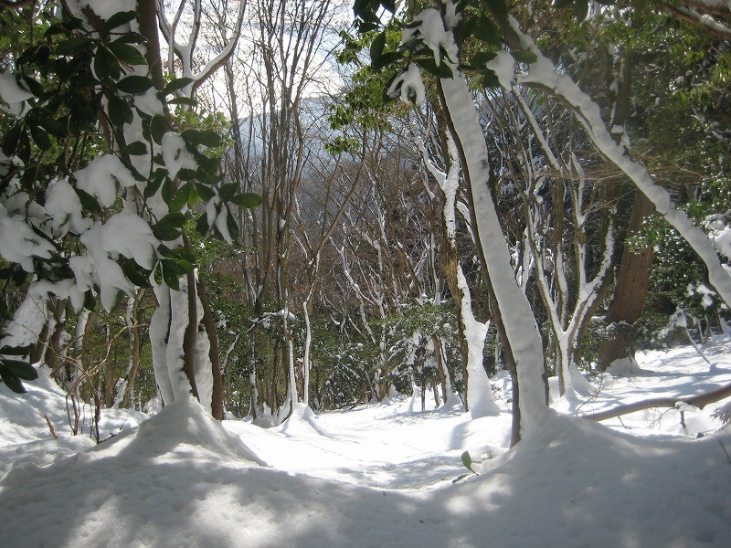 f:id:umenan:20120107095853j:image f:id:umenan:20120107095853j:image