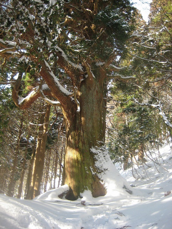 f:id:umenan:20120107095854j:image f:id:umenan:20120107095854j:image