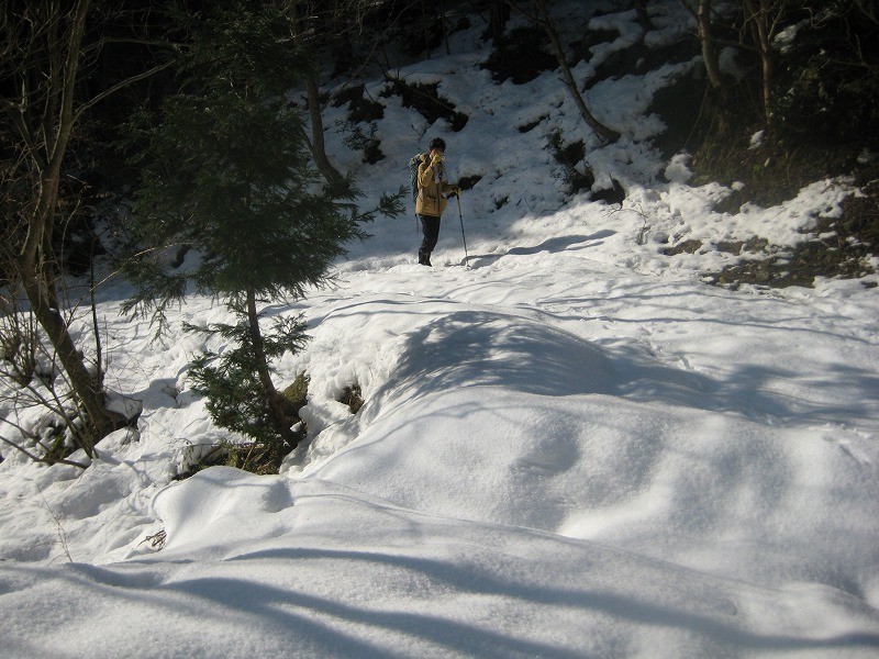 f:id:umenan:20120107095855j:image f:id:umenan:20120107095855j:image