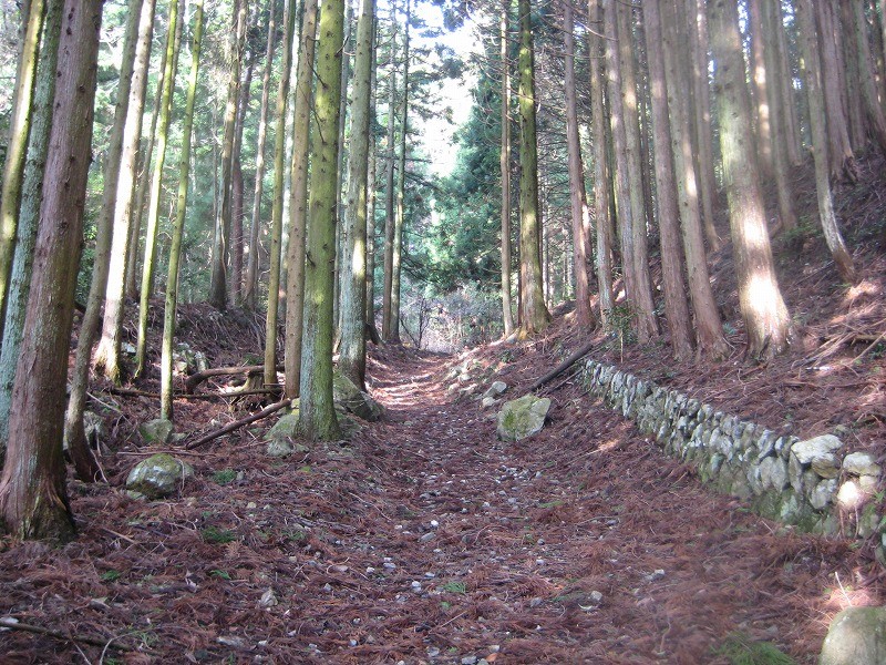 f:id:umenan:20120107095857j:image f:id:umenan:20120107095857j:image