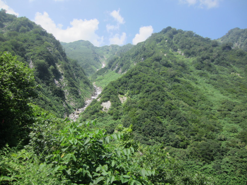 f:id:umenan:20130815111258j:image f:id:umenan:20130815111258j:image