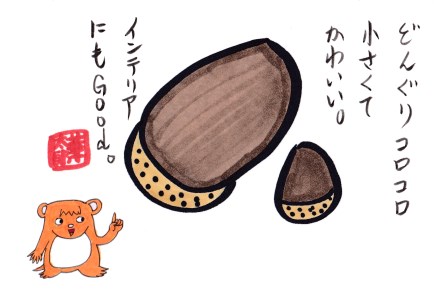 どんぐり 思い出のアルバム 梅の実学園イラスト集 どんぐり 思い出のアルバム 梅の実学園イラスト集
