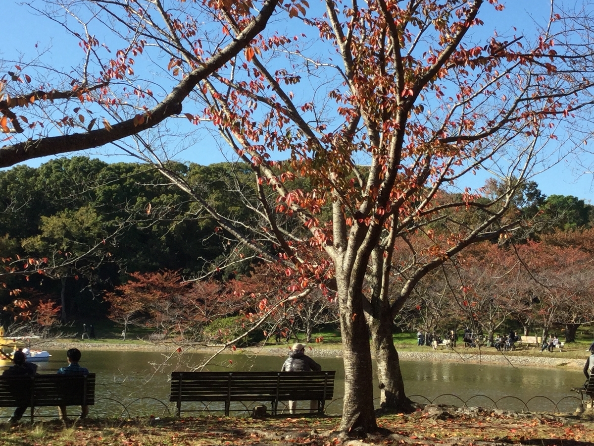 f:id:umenomi-gakuen:20191201181642j:plain f:id:umenomi-gakuen:20191201181642j:plain