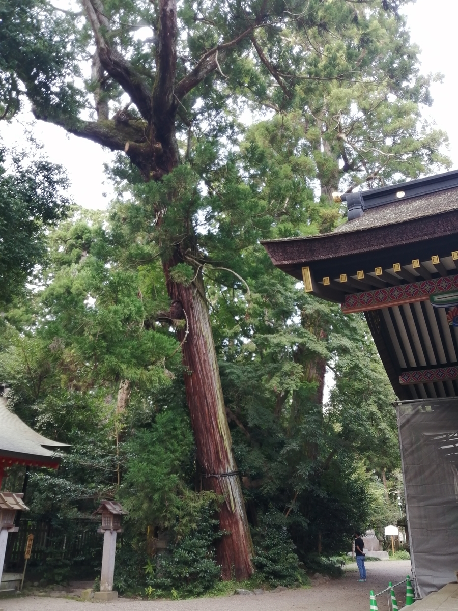 f:id:umeonigiri92:20210929111654j:plain