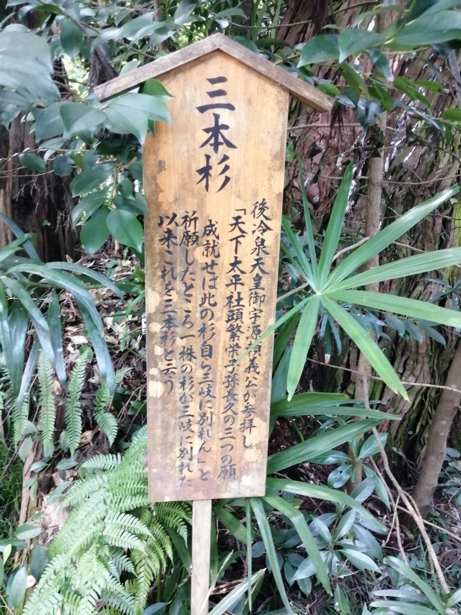 f:id:umeonigiri92:20210929111835j:plain