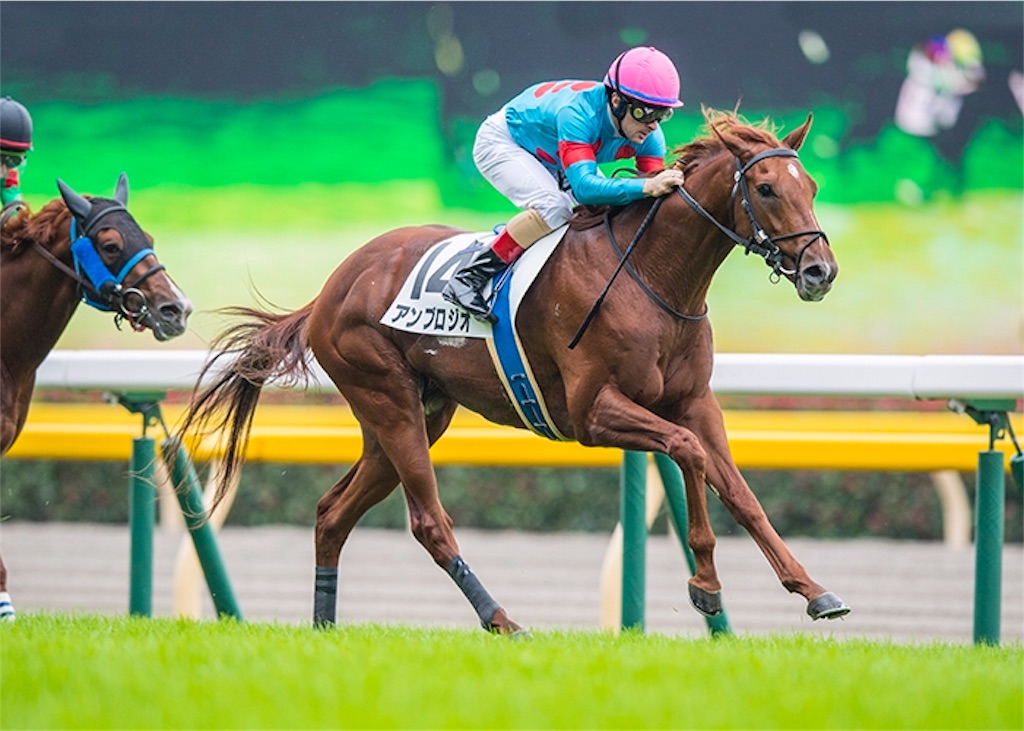 f:id:umerintaro:20191118101540j:image