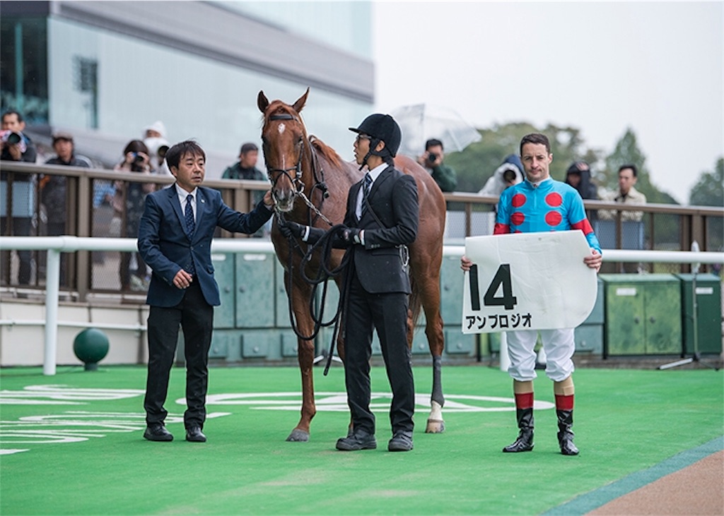 f:id:umerintaro:20191118101551j:image