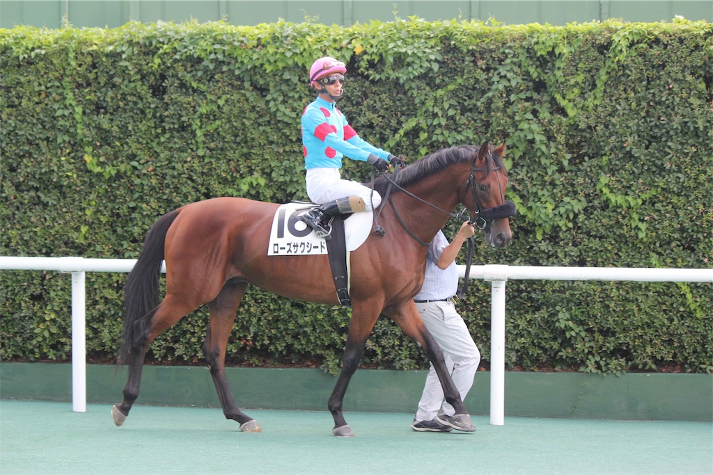 f:id:umerintaro:20191118121649j:image