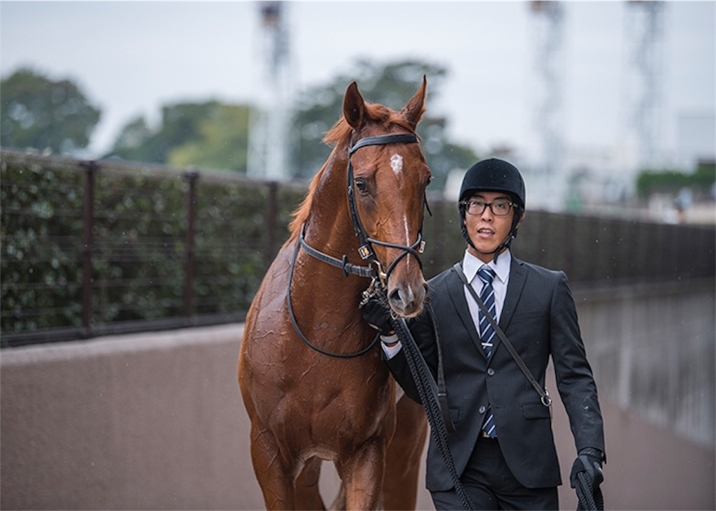 f:id:umerintaro:20191118121654j:image