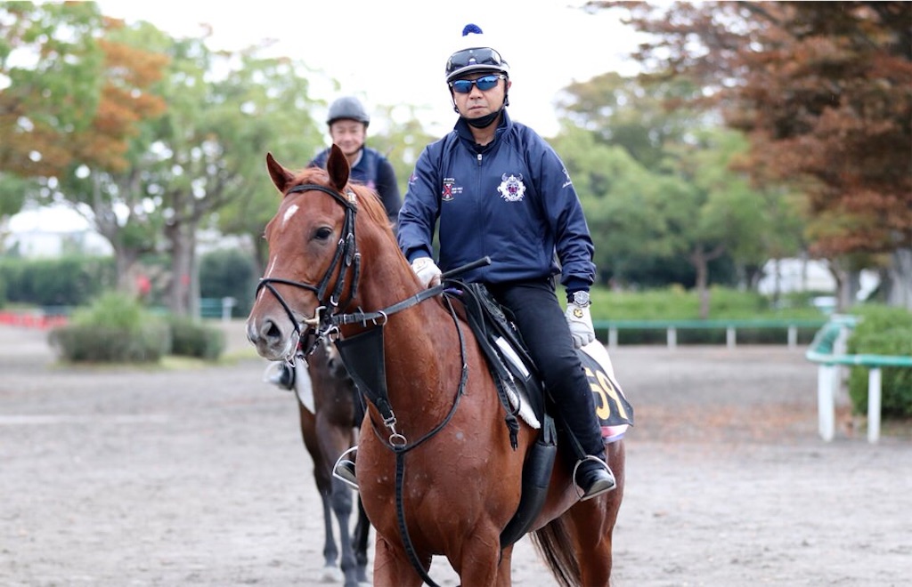f:id:umerintaro:20191118121802j:image