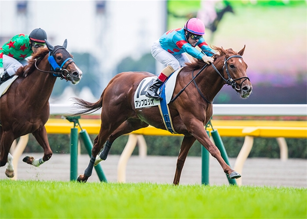 f:id:umerintaro:20191118121816j:image