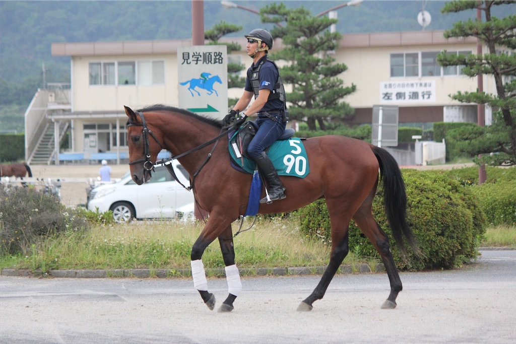 f:id:umerintaro:20191118121819j:image