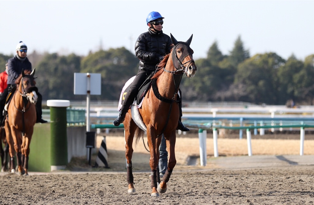f:id:umerintaro:20191118122040j:image