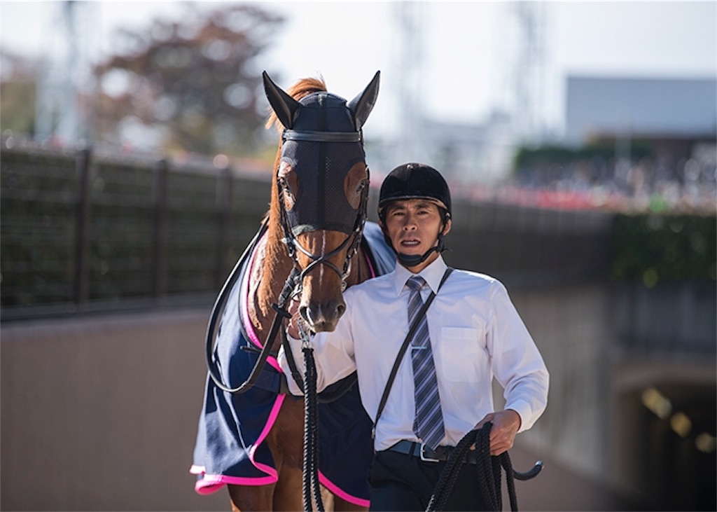f:id:umerintaro:20191118122044j:image