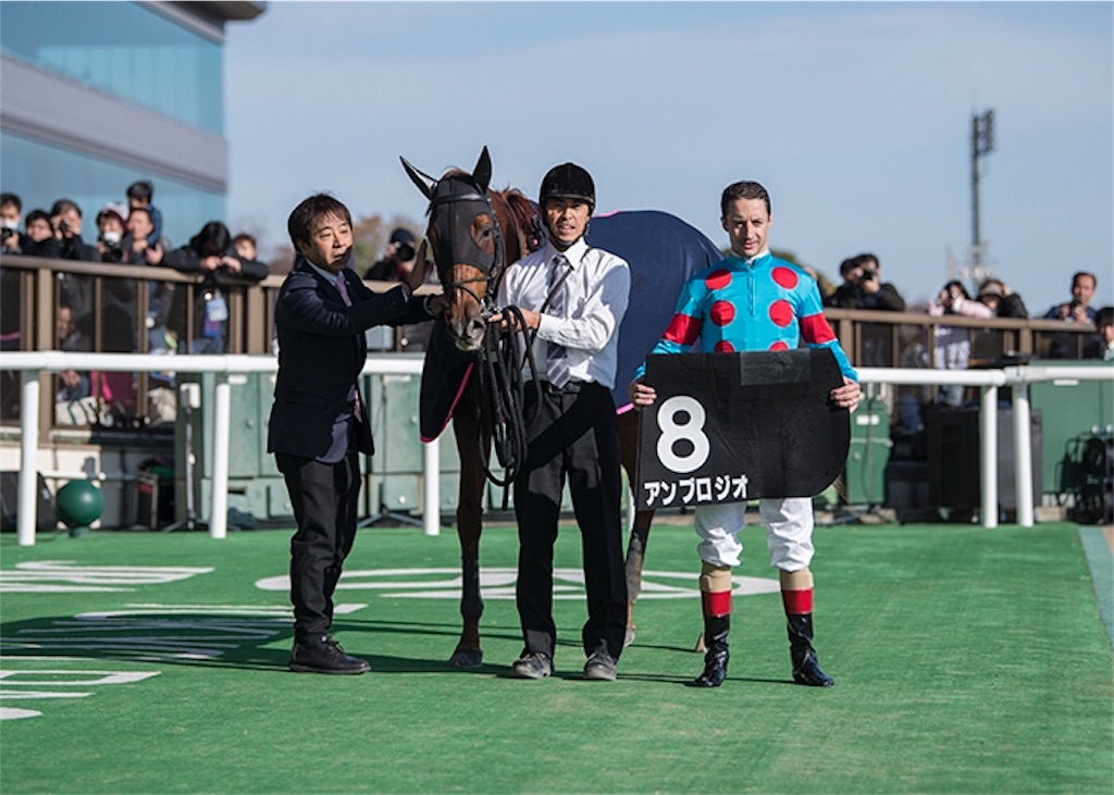 f:id:umerintaro:20191118122106j:image