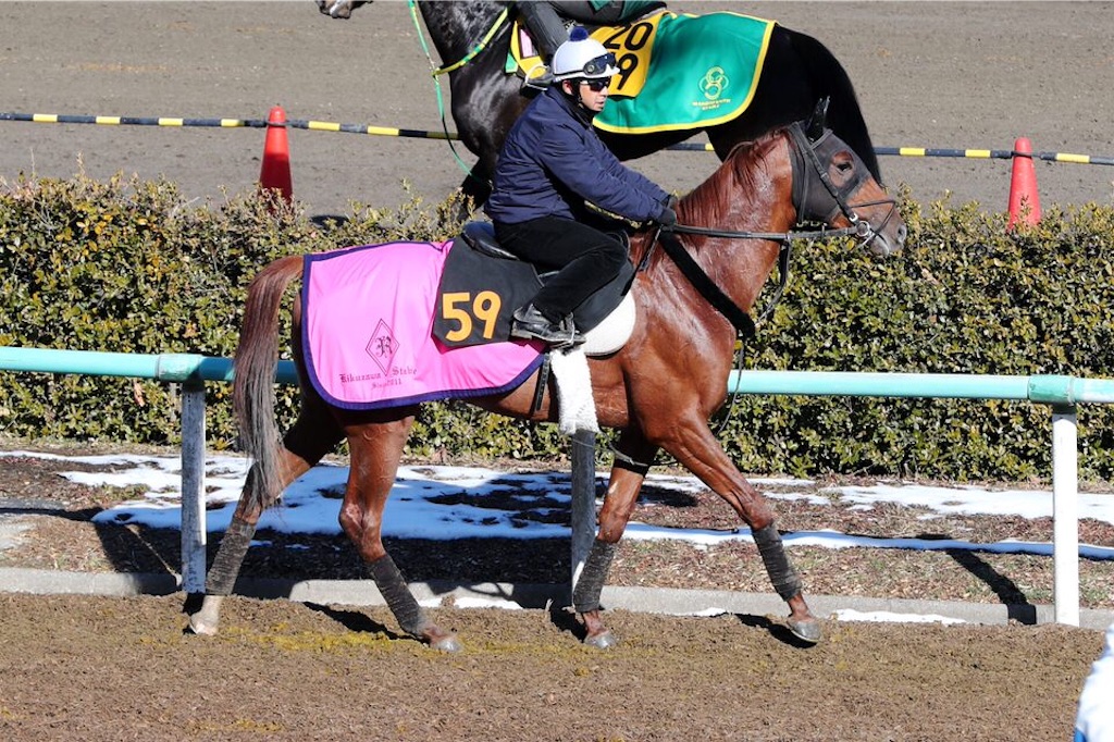 f:id:umerintaro:20191118122109j:image