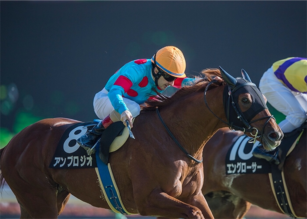f:id:umerintaro:20191118122121j:image
