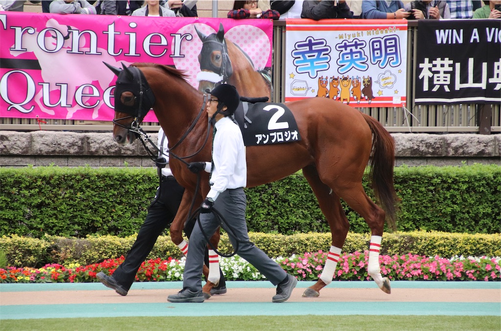 f:id:umerintaro:20191118122125j:image
